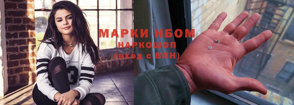 мдпв Карпинск