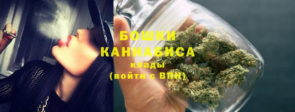 мдпв Касимов
