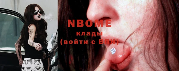 мдпв Карпинск