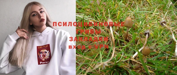 мдпв Карпинск