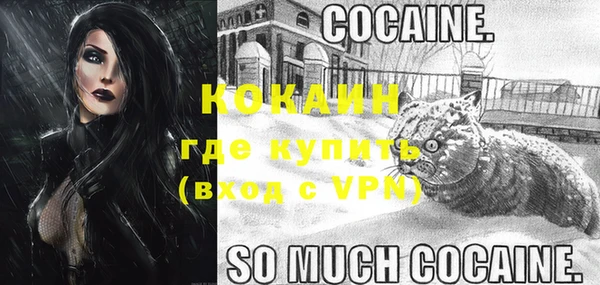 ГАЛЛЮЦИНОГЕННЫЕ ГРИБЫ Карталы