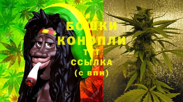 мдпв Карпинск