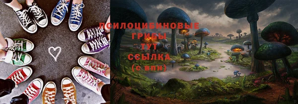 ГАЛЛЮЦИНОГЕННЫЕ ГРИБЫ Карталы