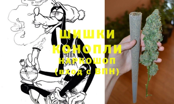 мдпв Касимов