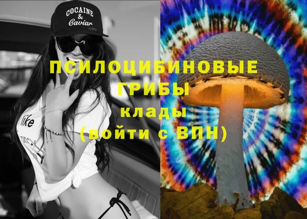 мдпв Карпинск