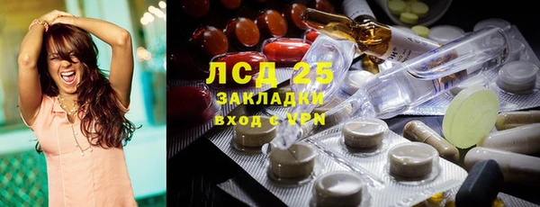 мдпв Карпинск