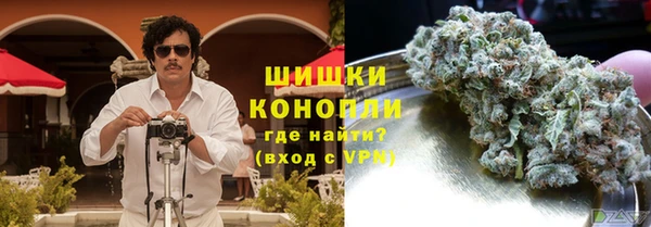 мдпв Карпинск
