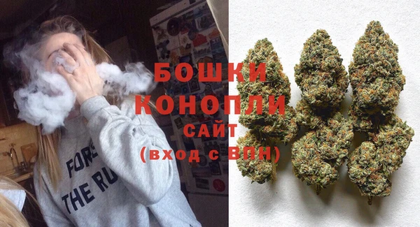 мдпв Касимов
