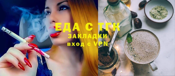 мдпв Карпинск