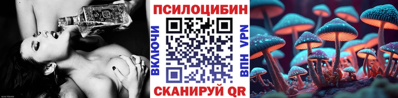 Купить закладки  Темрюк  Псилоцибиновые грибы Psilocybine cubensis 